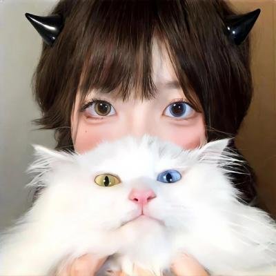 没人瞭波斯猫